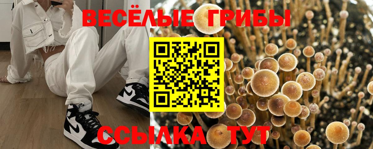 Галлюциногенные грибы мицелий  Вход с VPN  Каменск-Шахтинский 